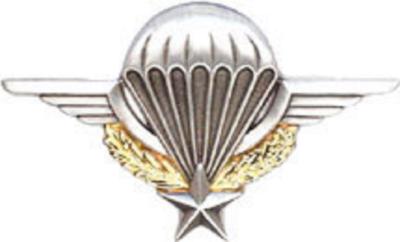 Insigne de poitrine du brevet parachutiste Armée Française