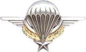 Insigne de poitrine du brevet parachutiste Armée Française