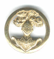 Insigne de béret de Spahis