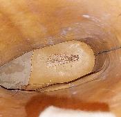 Bottes en cuir J. M. Weston pour cavaliers / motocyclistes / gardes républicaines