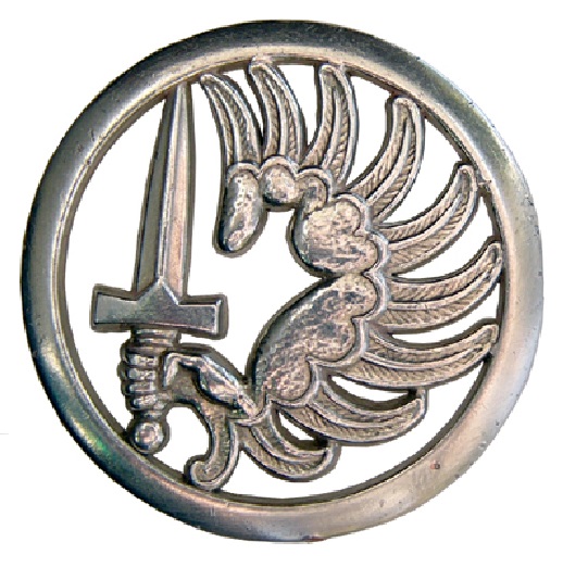 Insigne de béret Parachutiste Métropolitain / para métro / métropole