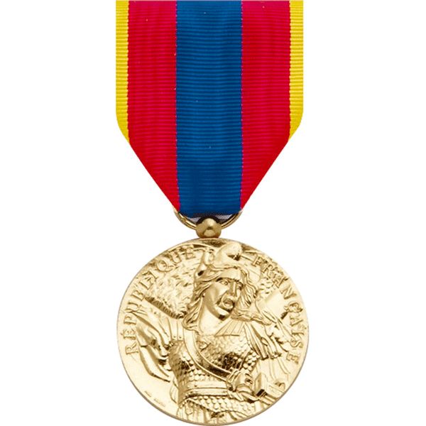 Médaille Défense Nationale Or / DefNat ordonnance pendante