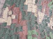 Filet de camouflage 6m x 3m Armée Bulgare vert marron beige