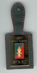 Insigne poitrine pucelle de régiment du 3°REI / Régiment Etranger d'Infanterie  / Légion