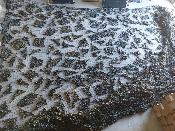 Filet de camouflage forêt vert marron gigantesque 22m x 22m de l'armée Britannique 